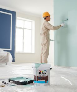 DULUX A500 DULUX PROFESSIONAL (1)