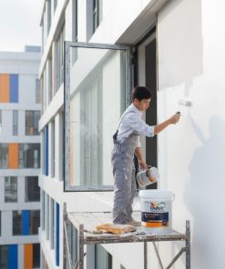 DULUX WEATHERSHIELD FLEXX
